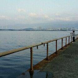 南甲子園浜。今日もタチナブラ。引き続き好調です。